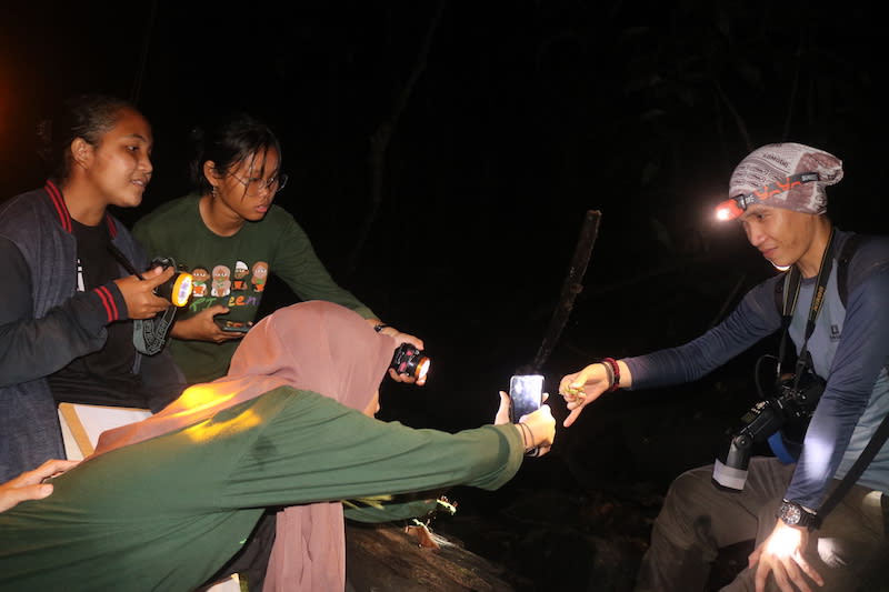 Pengamatan dan observasi amfibi dan reptil oleh remaja pecinta lingkungan di Lubuk Baji, Taman Nasional Gunung Palung